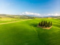 Beautiful landscape of Tuscany in Italy - Group of italian cypresses near San Quirico dÃÂ´Orcia - aerial view - Val dÃ¢â¬â¢Orcia, Royalty Free Stock Photo